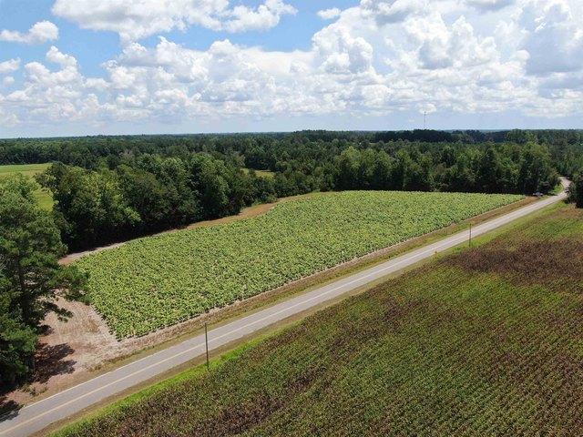 Land for sale in Nichols, South Carolina