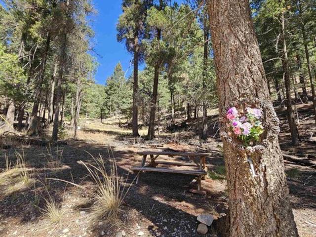 Land for sale in Cloudcroft, New Mexico