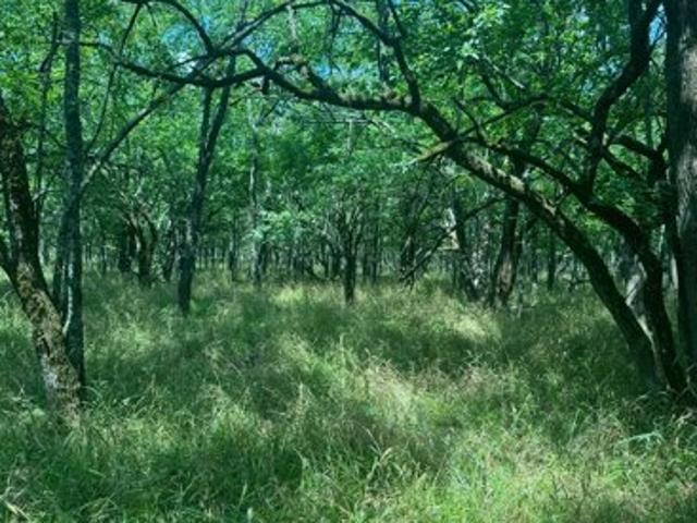 Land for sale in Oklahoma