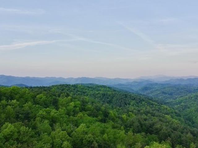 Land for sale in Tennessee