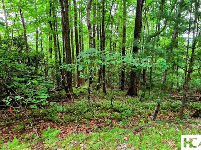 Land for sale in Sapphire, Transylvania County