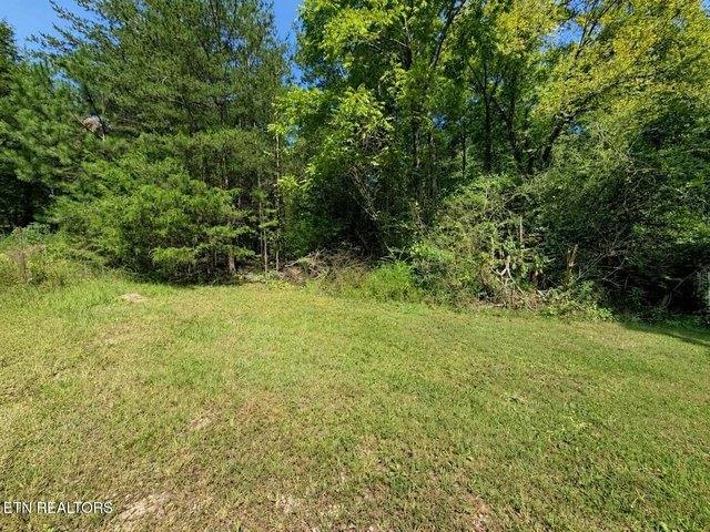 Land for sale in Tennessee