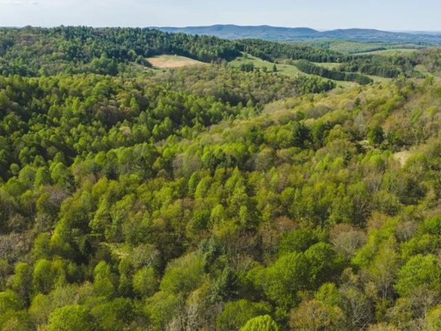 Land for sale in Virginia