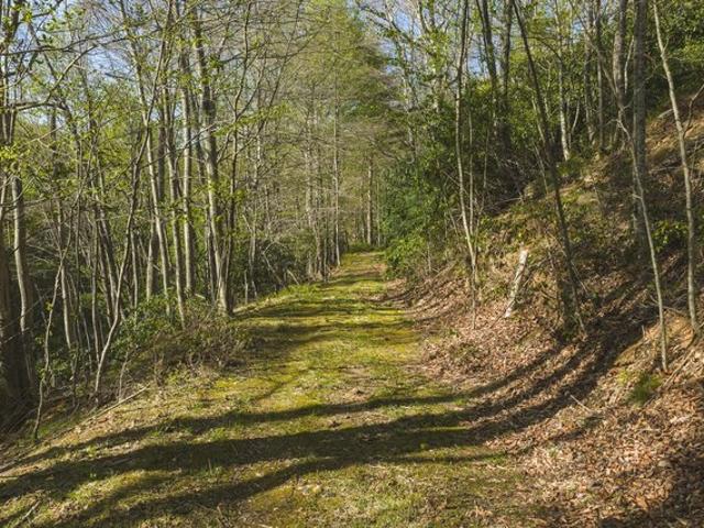 Land for sale in Virginia