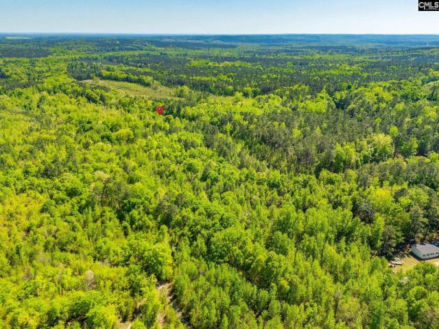 Land for sale in Rembert, South Carolina
