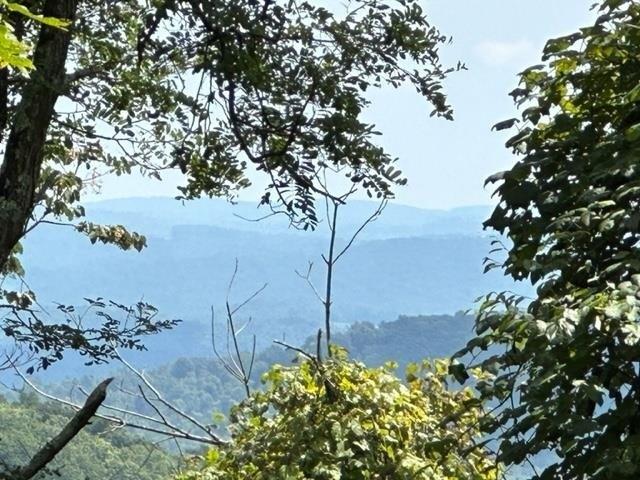 Land for sale in Virginia