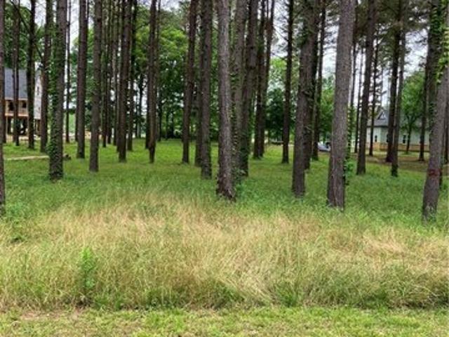 Land for sale in Akron, Alabama
