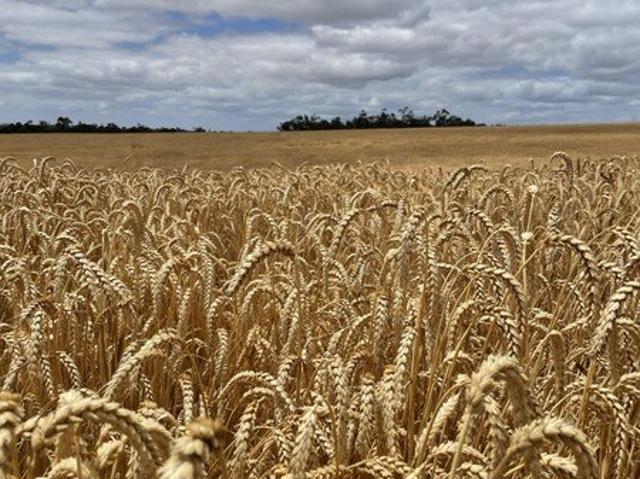 Property for sale in Cranbrook, Western Australia