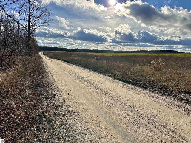Land for sale in Elmira, Michigan