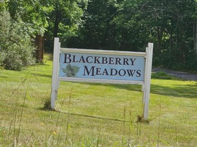 Land for sale in Paw Paw, West Virginia