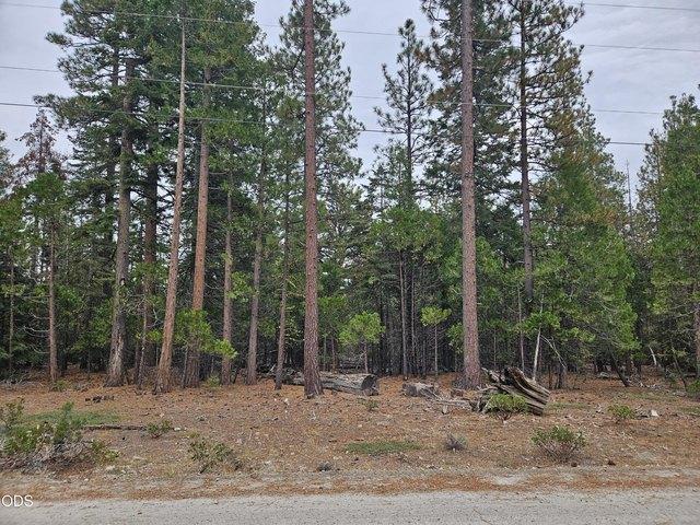 Land for sale in Oregonia