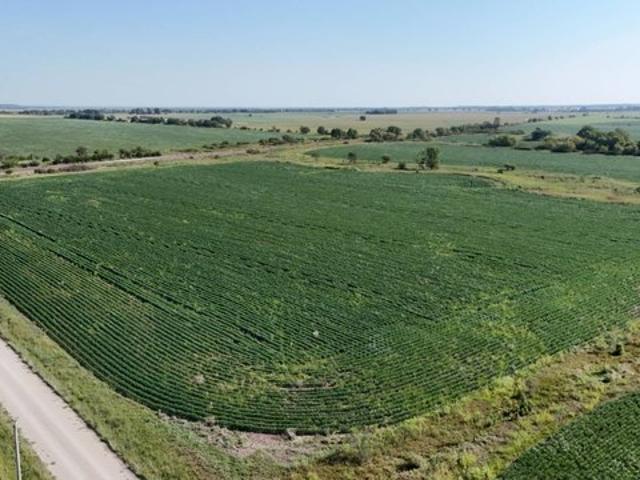 Land for sale in Lebo, Coffey County