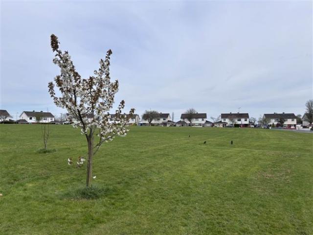 Property for sale in Navan, North Tipperary