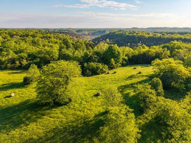 Land for sale in Tollesboro, Kentucky