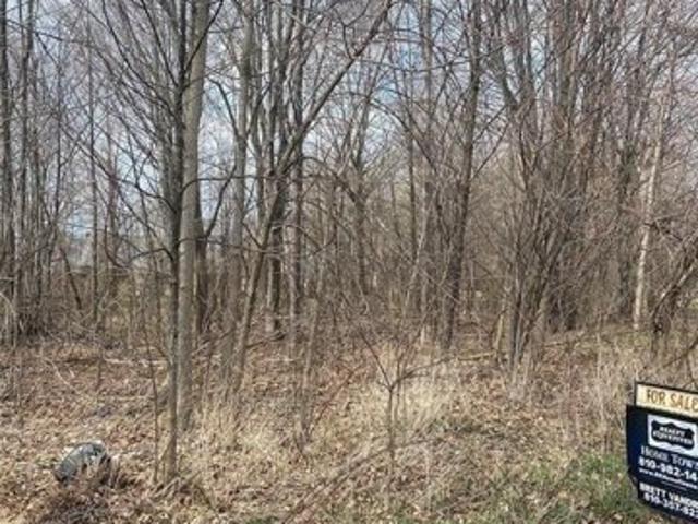 Land for sale in Port Huron Land for sale in Port Huron