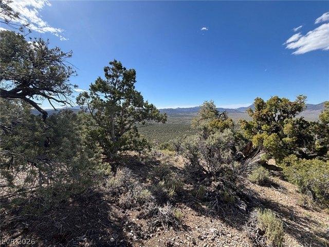 Land for sale in Ely, White Pine County