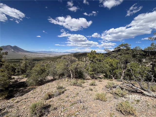 Land for sale in Ely, White Pine County