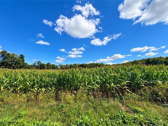 Land for sale in Oneida, New York