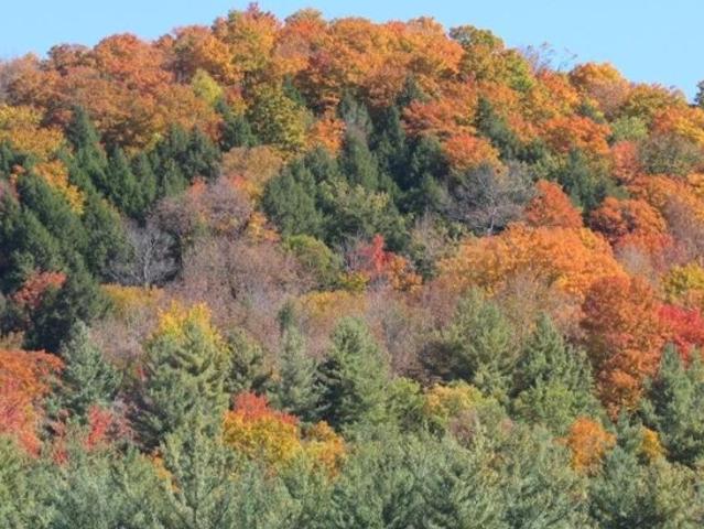 Land for sale in Stockbridge Land for sale in Stockbridge