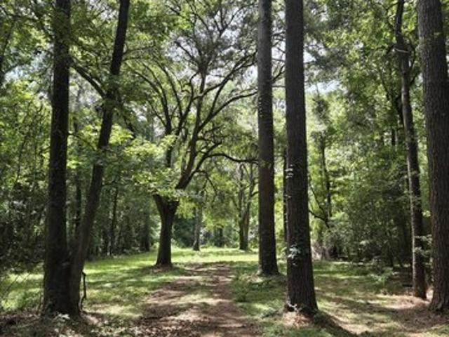 Land for sale in Saint Francisville, Louisiana