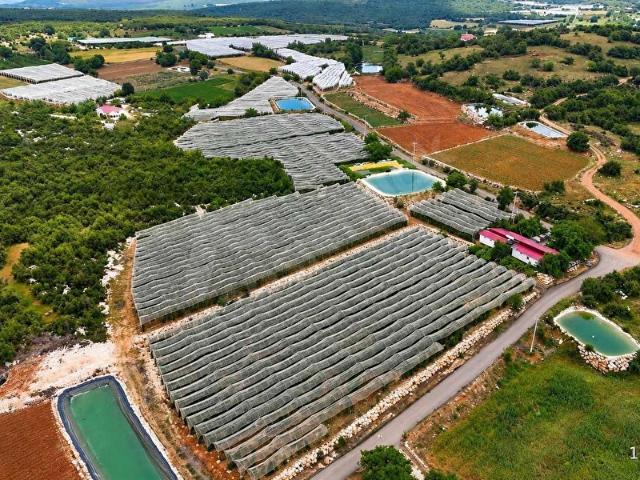 Erdemli, Mersin içerisinde satılık Arsa