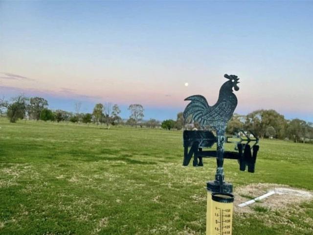 Cottage for sale in Blackville, New South Wales