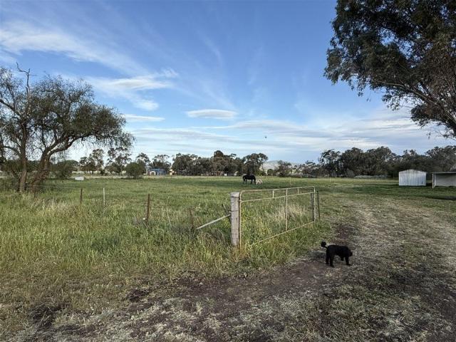 Cottage for sale in Blackville, New South Wales