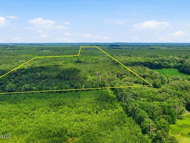 Land for sale in Forest, Scott County