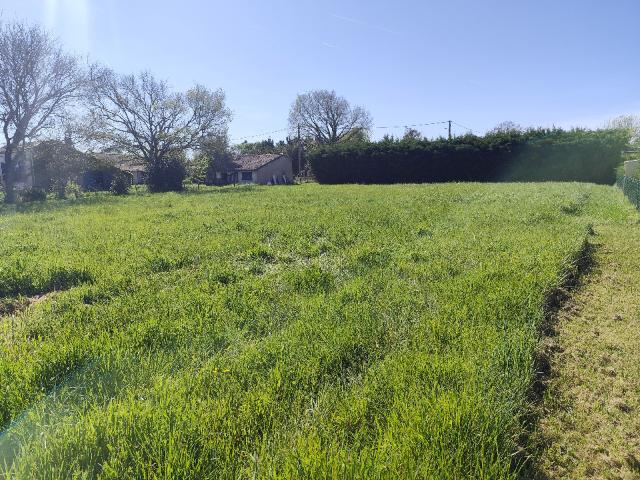 Terrain vente à Lesparre-Médoc, Blaignan