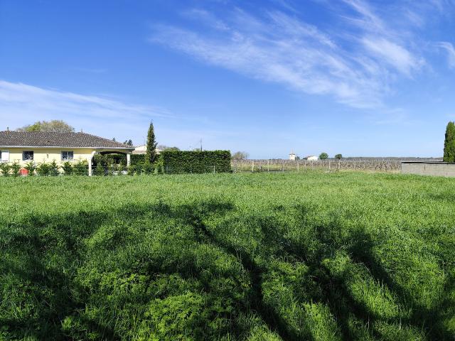 Terrain vente à Lesparre-Médoc, Blaignan