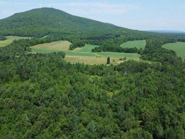 Land for sale in Blaine, Maine