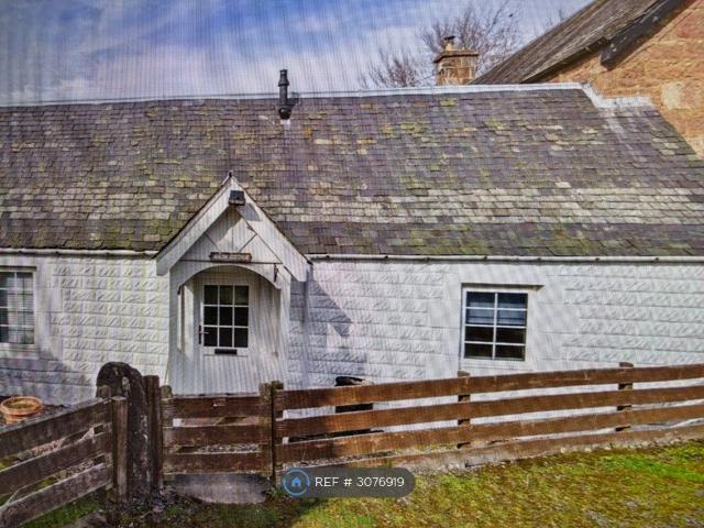 House for rent in Rattray, Blairgowrie and Rattray