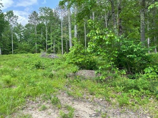 Land for sale in New Hampshire