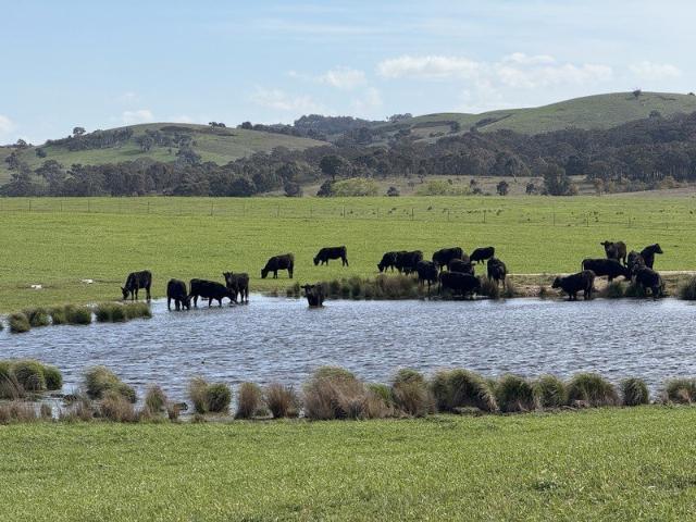 Cottage for sale in Manton, New South Wales