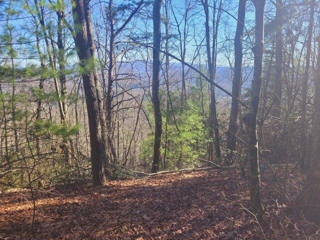 Land for sale in Turtletown