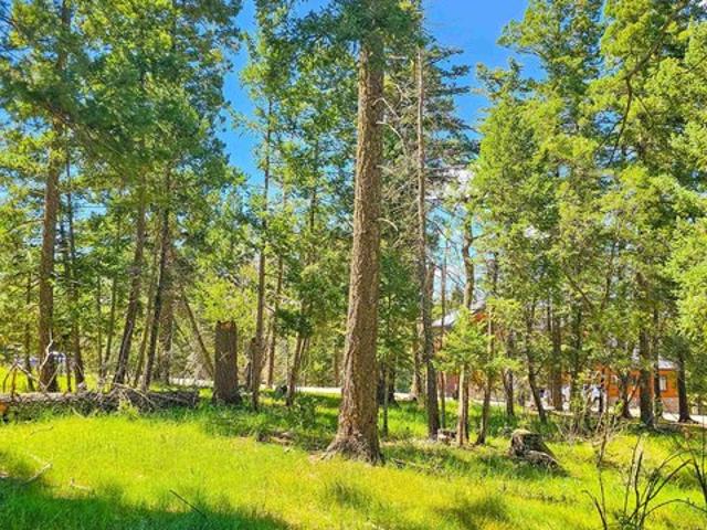 Land for sale in Cloudcroft, New Mexico