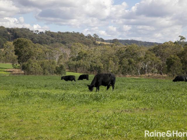 Property for sale in Big Hill, New South Wales
