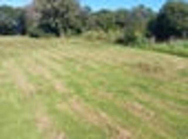 Land for sale in Hector, West Coast