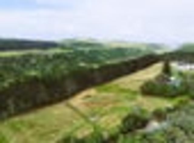 Land for sale in Northland