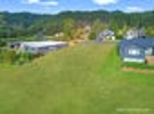 Land for sale in Waikato