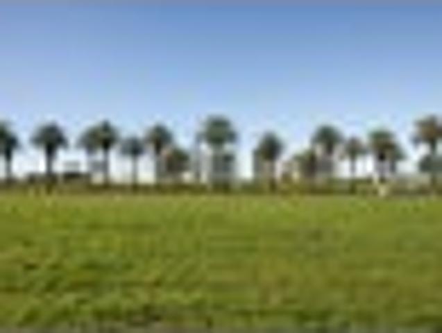 Land for sale in Waihi, Waikato