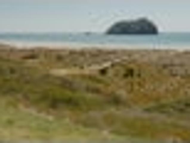 Land for sale in Mount Maunganui
