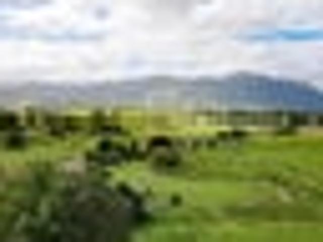 Land for sale in Waikato