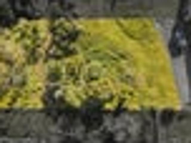 Land for sale in Birkdale, Kaipātiki