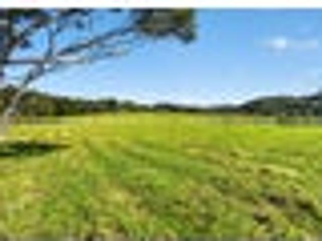 Land for sale in Oratia