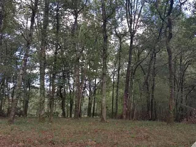 Terrain vente à Bordeaux, Blanquefort