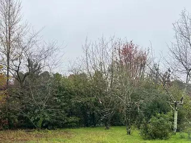 Terrain vente à Bordeaux, Blanquefort