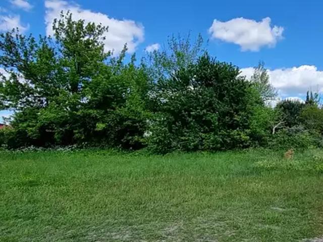 Terrain vente à France métropolitaine, Blanquefort