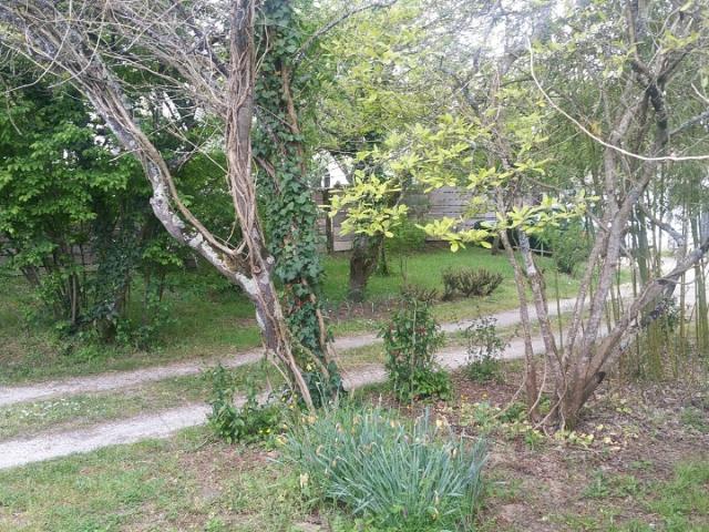 Terrain vente à Bordeaux, Blanquefort