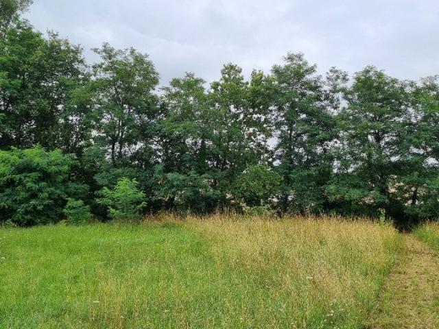 Terrain vente à Bordeaux, Blanquefort